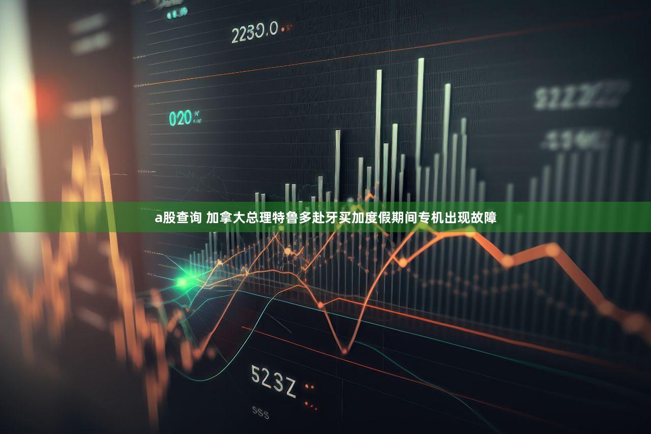 a股查询 加拿大总理特鲁多赴牙买加度假期间专机出现故障