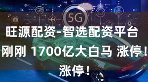 旺源配资-智选配资平台 刚刚 1700亿大白马 涨停!