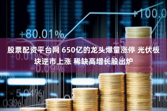 股票配资平台网 650亿的龙头爆量涨停 光伏板块逆市上涨 稀缺高增长股出炉