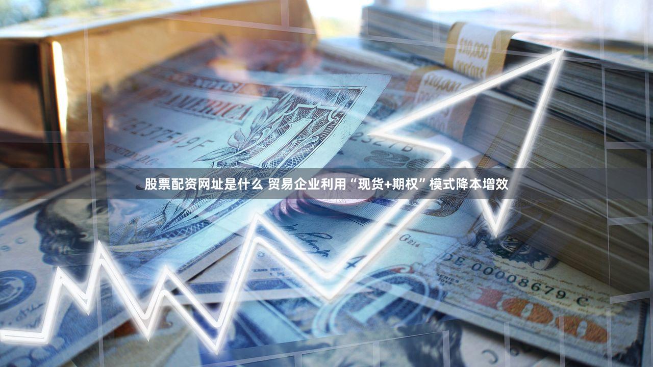 股票配资网址是什么 贸易企业利用“现货+期权”模式降本增效