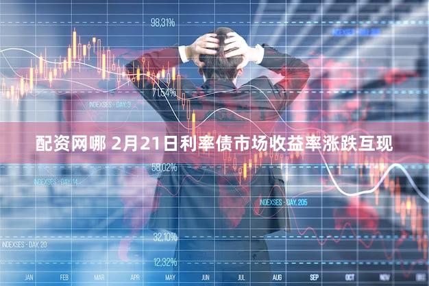 配资网哪 2月21日利率债市场收益率涨跌互现