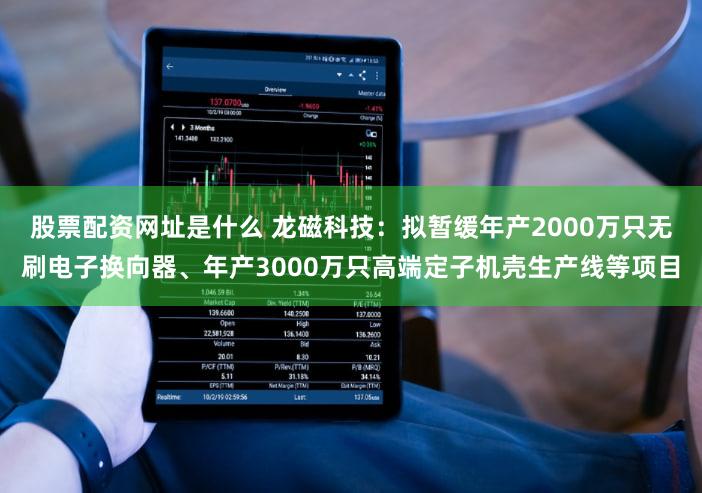 股票配资网址是什么 龙磁科技：拟暂缓年产2000万只无刷电子换向器、年产3000万只高端定子机壳生产线等项目