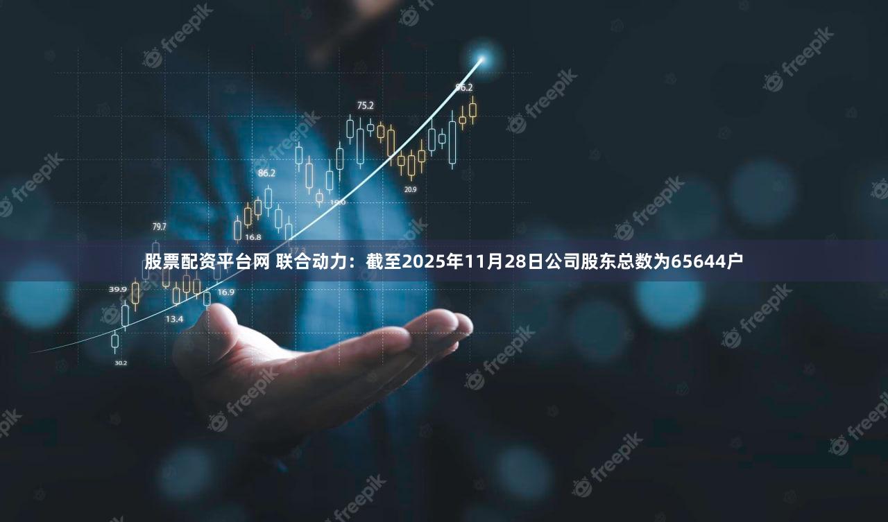 股票配资平台网 联合动力：截至2025年11月28日公司股东总数为65644户