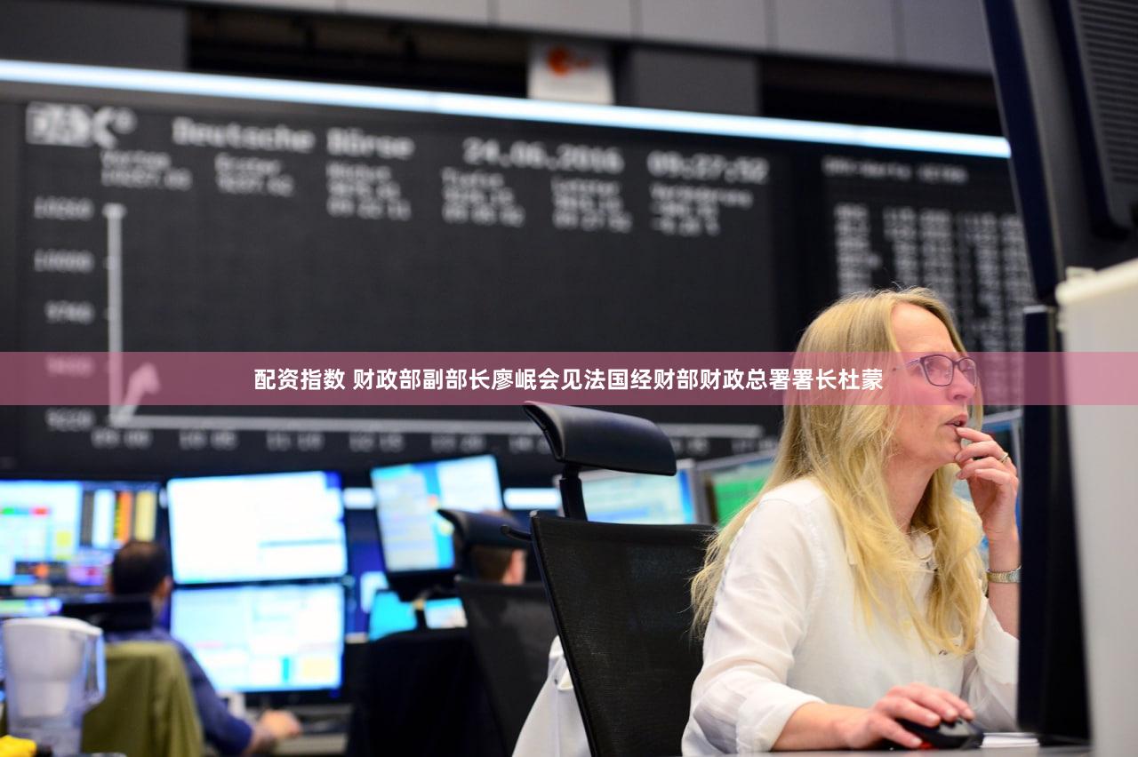 配资指数 财政部副部长廖岷会见法国经财部财政总署署长杜蒙